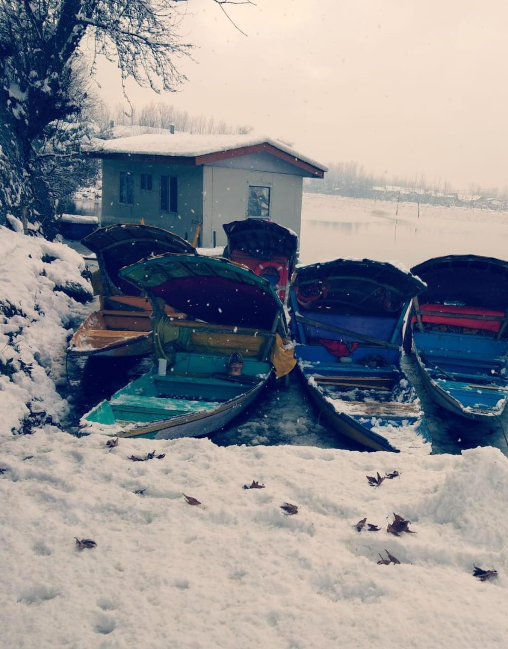 Hotel Kings Houseboats Srīnagar Esterno foto